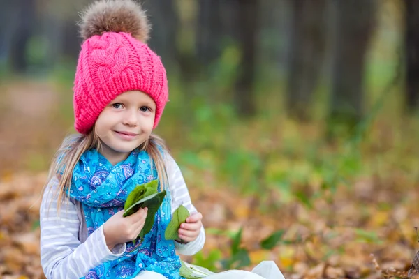 Schattig meisje met najaar bladeren in het prachtige park — Stockfoto