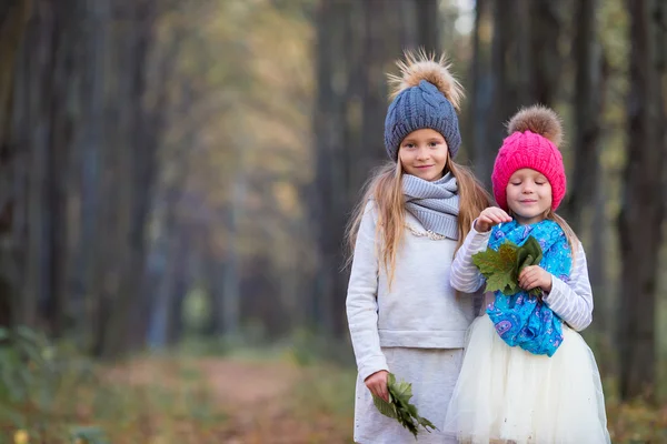 Adorable little girls with autumn leaves in the beautiful park — Stock Photo, Image