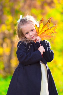 Sevimli küçük kız güzel parkta sonbahar yaprakları ile