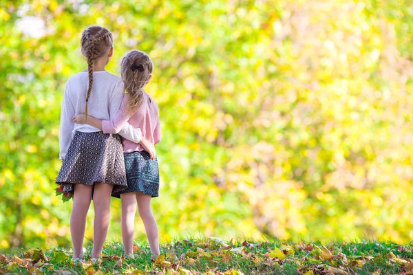 Schattige kleine meisjes met najaar bladeren in het prachtige park — Stockfoto