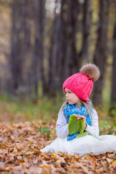 Adorabile bambina all'aperto durante la bella giornata autunnale — Foto Stock