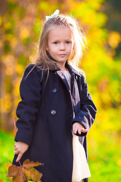 Schattig meisje buiten op de prachtige herfstdag — Stockfoto