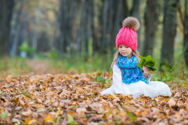 Adorable little girl outdoors at beautiful warm day in autumn park — Stock Photo, Image