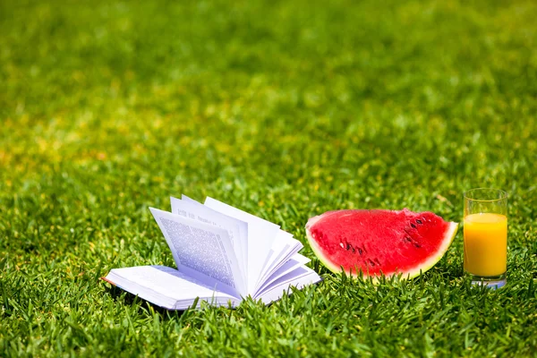 Sandía roja de rodajas maduras, vaso de jugo de naranja y libro sobre hierba verde — Foto de Stock