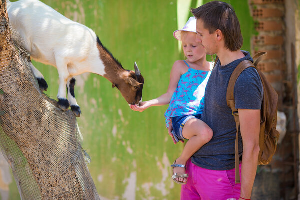Little girl and her dad playing in the zoo with a small cute goat