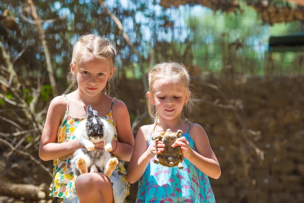 Kleines entzückendes Mädchen mit Landschildkröte und niedlichem Kaninchen im Zoo — Stockfoto