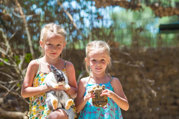 Petite fille heureuse avec une tortue terrestre et un lapin mignon au zoo — Photo
