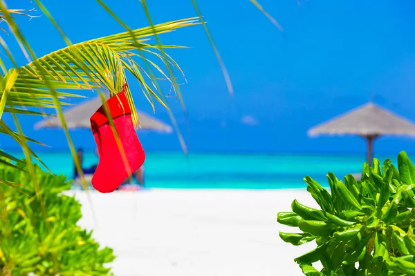棕榈树在热带海滩上的红色圣诞袜 — 图库照片