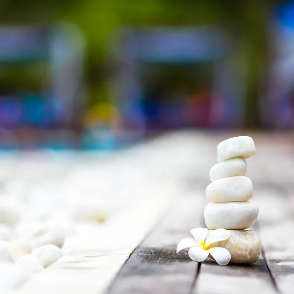Wit evenwichtig stenen en witte plumeria in de buurt van zwembad in tropische resort — Stockfoto