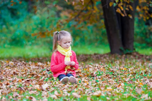 Adorabile bambina con foglie autunnali nel bellissimo parco — Foto Stock