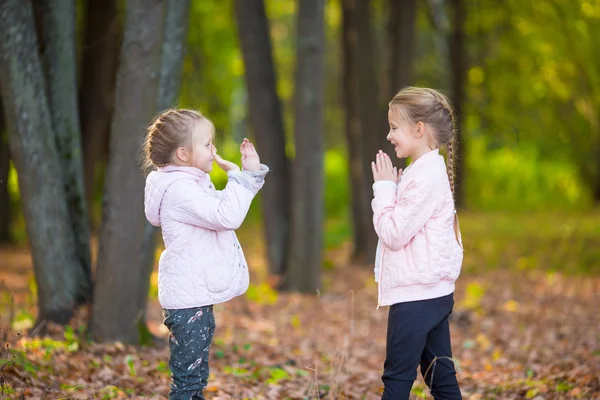 Niñas adorables jugando en el hermoso parque de otoño al aire libre — Foto de Stock