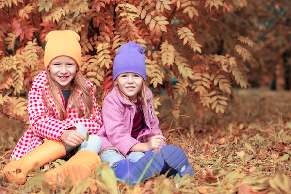 Little adorable girls at warm sunny autumn day outdoors — Stock Photo, Image