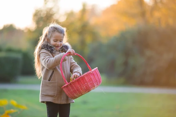 Αξιολάτρευτο μικρό κορίτσι με ένα καλάθι σε κρύα ημέρα του φθινοπώρου σε εξωτερικούς χώρους — Φωτογραφία Αρχείου