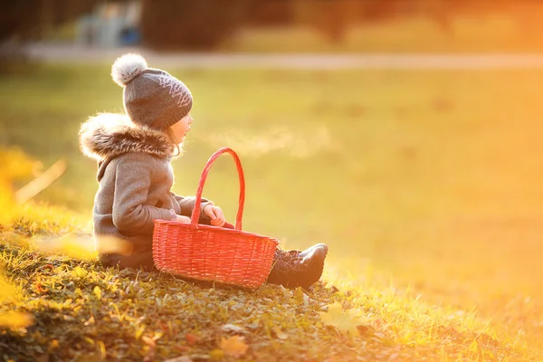 Adorabile bambina con un cesto in fredda giornata d'autunno all'aperto — Foto Stock