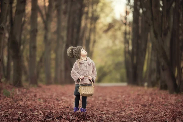 Entzückendes kleines Mädchen mit einem Korb im kalten Herbsttag im Freien — Stockfoto