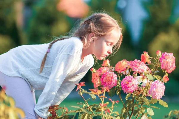 Little adorable girl smelling colorful flowers at summer day — Stock Photo, Image