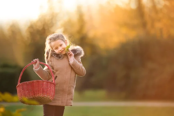 Entzückendes kleines Mädchen mit einem Korb im kalten Herbsttag im Freien — Stockfoto