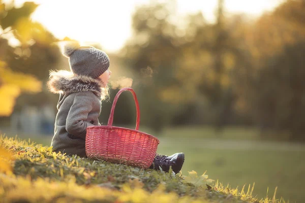 Adorabile bambina con un cesto in fredda giornata d'autunno all'aperto — Foto Stock