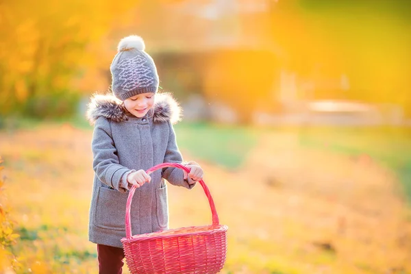 Soğuk sonbahar günü açık havada bir sepet ile sevimli küçük kız — Stok fotoğraf