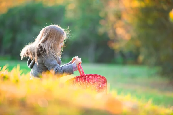 Entzückendes kleines Mädchen mit einem Korb im kalten Herbsttag im Freien — Stockfoto