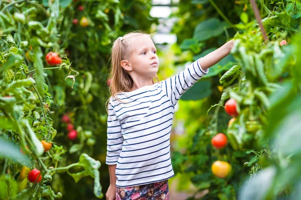 Adorable little girl with cucumbers and tomatoes in greenhouse — Stock Photo, Image