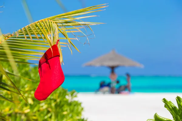 在白色的沙滩上棕榈树之间的红色圣诞老人圣诞袜 — 图库照片