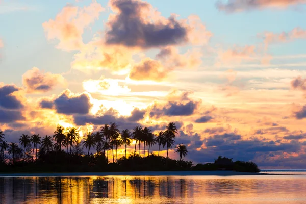 Belo pôr do sol com silhuetas escuras de palmeiras e incrível céu nublado na ilha tropical — Fotografia de Stock