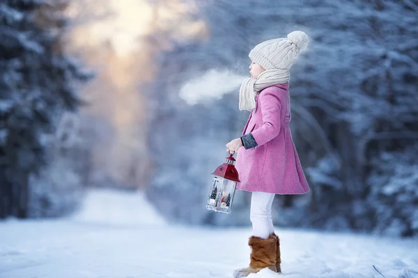 Adorable niña con linterna en invierno congelado en Navidad al aire libre —  Fotos de Stock