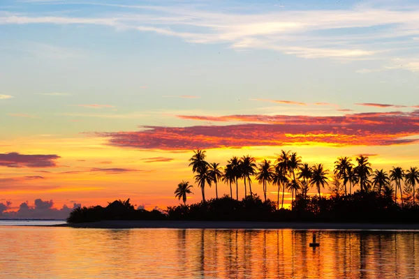 Dark silhouettes of palm trees and amazing cloudy sky on sunset at tropical island in Indian Ocean