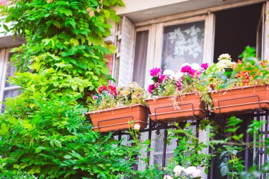 Geleneksel Hollanda Ortaçağ pencere Amsterdam, Hollanda