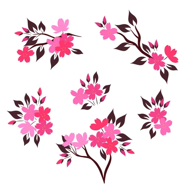 Conjunto Ramitas Con Flores Sakura Aisladas Sobre Fondo Blanco Vector — Vector de stock