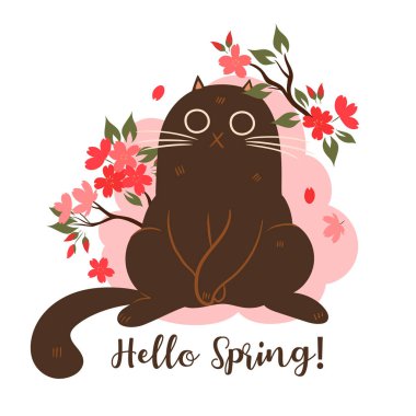 Beyaz arka planda kiraz çiçekleri olan bahar kedisi. Yazıtta Hello Spring yazıyor. Vektör resmi.