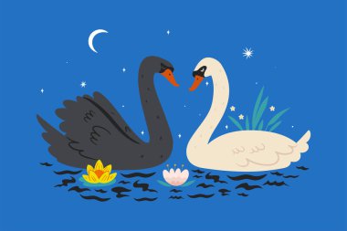 Gölette kuğular olan bir kartpostal. Vektör resmi