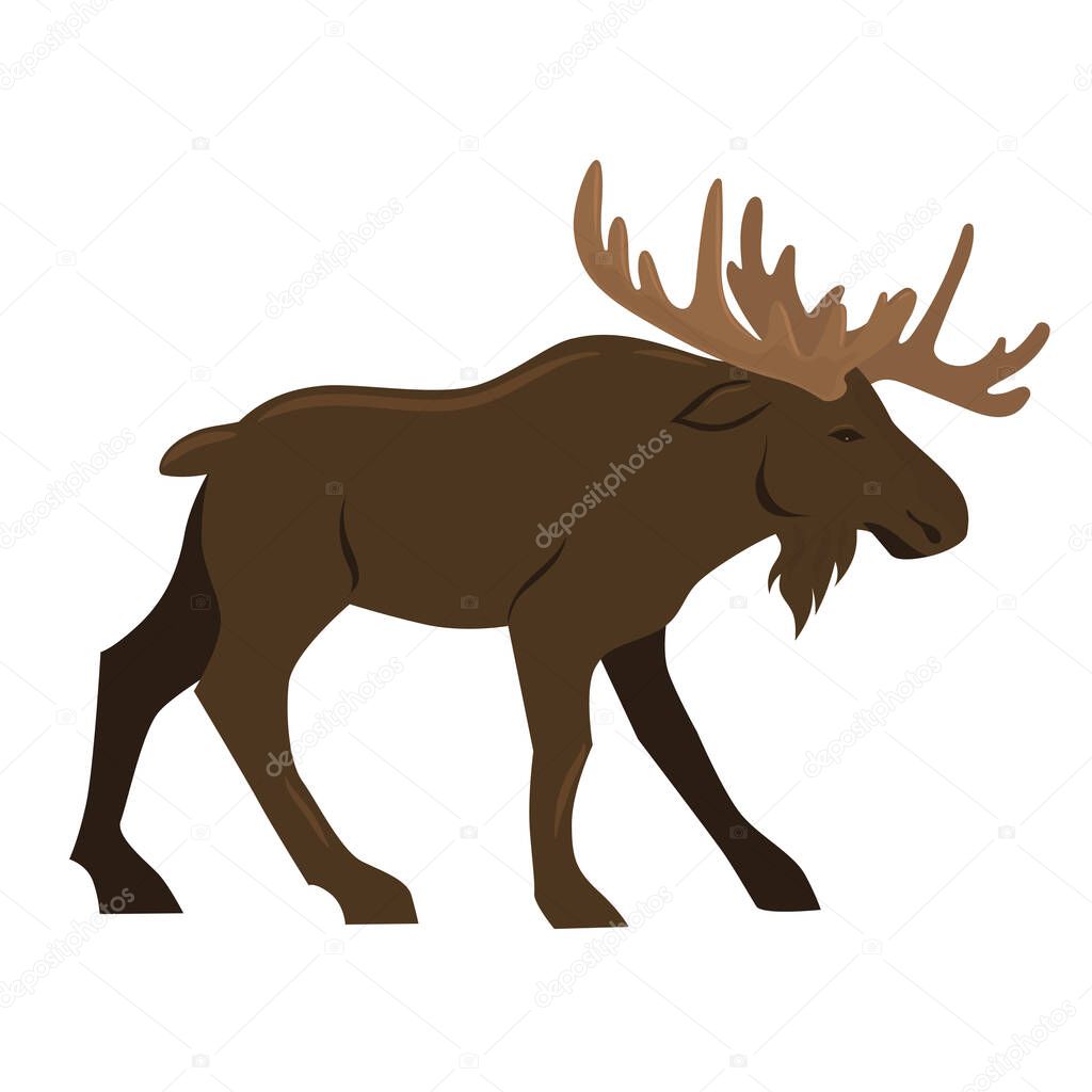 Elk isolated on a white background. Vector image.
