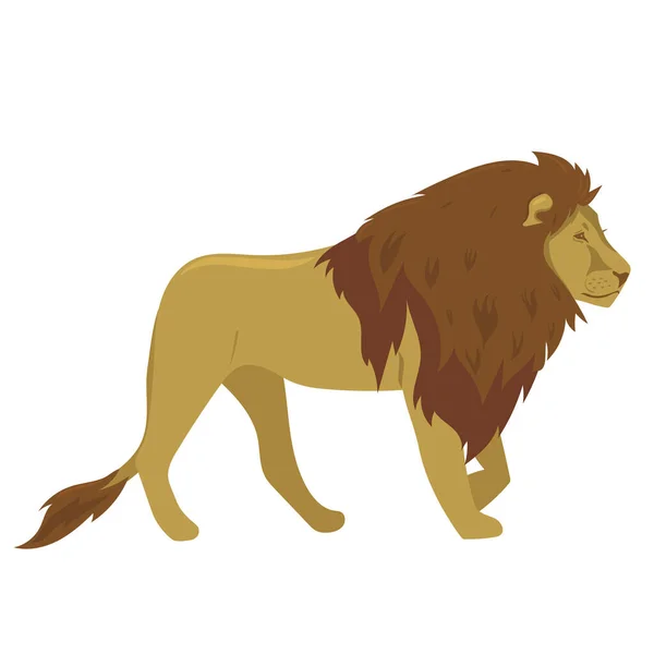 Lion Isolé Sur Fond Blanc Image Vectorielle — Image vectorielle