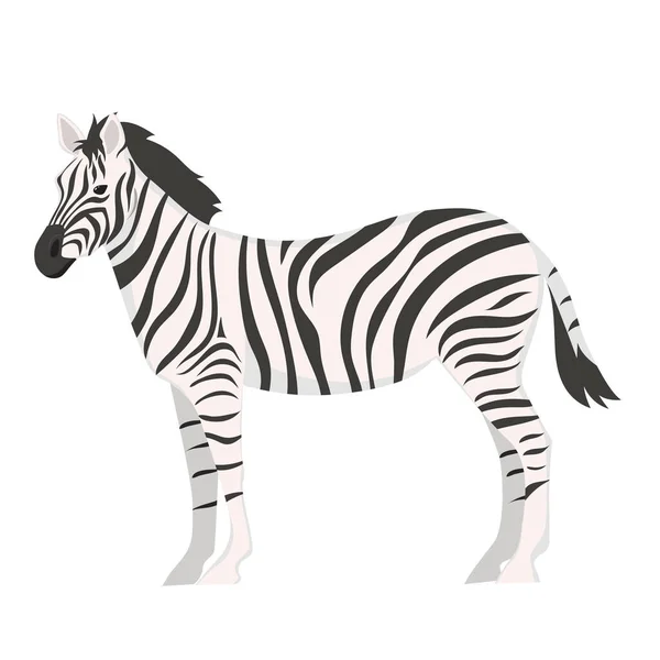 Zebra Odizolowana Białym Tle Wizerunek Wektora — Wektor stockowy
