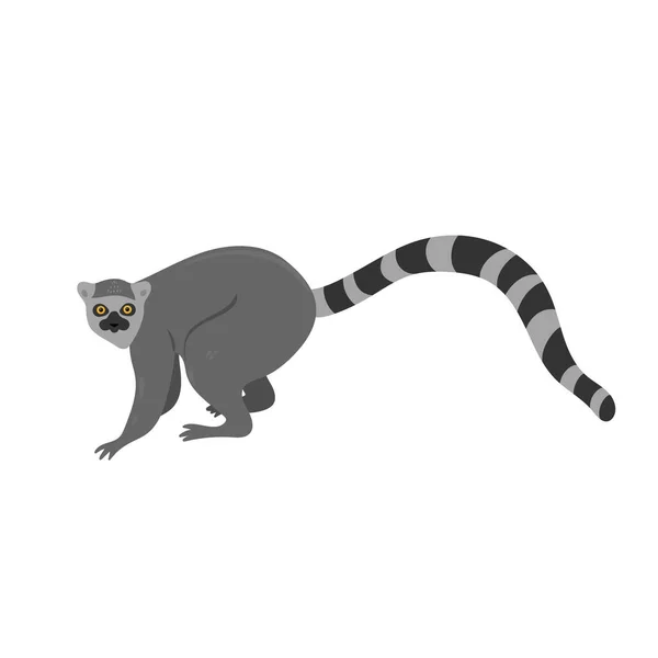 Lemur Okrągły Izolowany Białym Tle Wizerunek Wektora — Wektor stockowy
