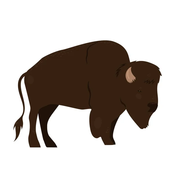 Bison Isolé Sur Fond Blanc Image Vectorielle — Image vectorielle