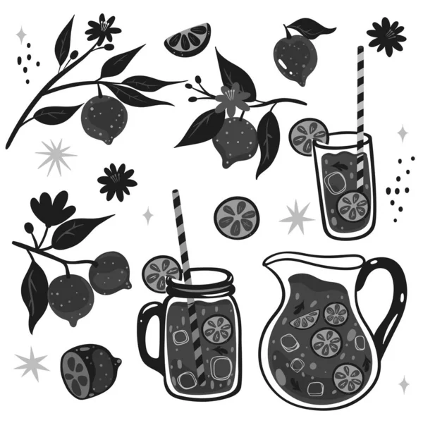 Conjunto Blanco Negro Limones Limonada Imagen Vectorial — Archivo Imágenes Vectoriales