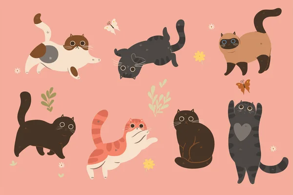 Conjunto Lindos Gatos Diferentes Colores Imagen Vectorial — Vector de stock