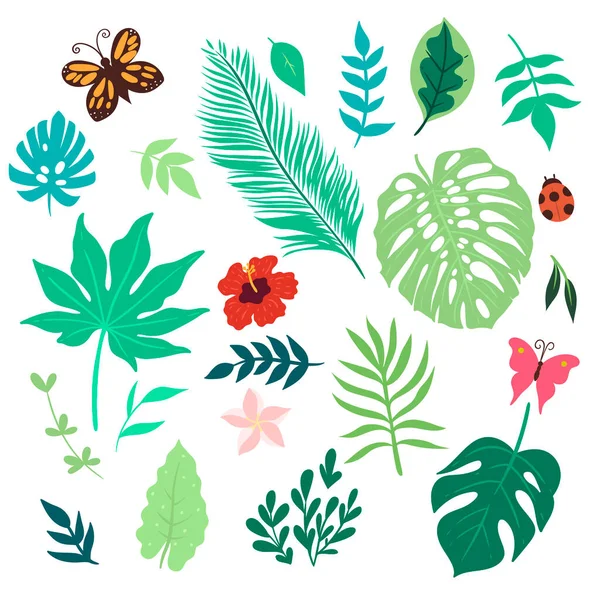 Set Tropischer Blätter Und Blüten Isoliert Auf Weißem Hintergrund Vektorbild — Stockvektor