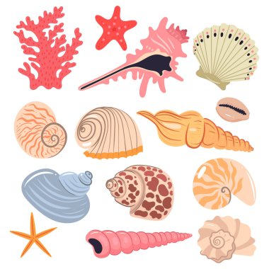 Beyaz arka planda izole edilmiş deniz kabukları seti. Vektör resmi.