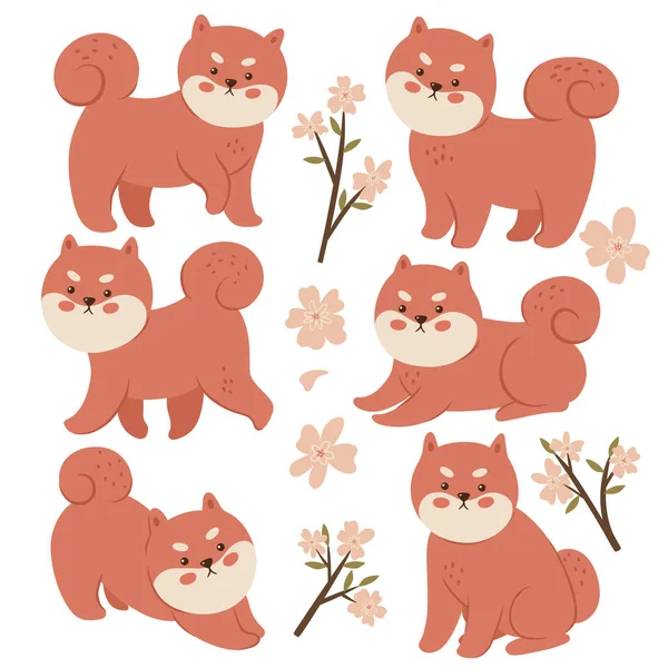 Conjunto Shiba Inu Flores Aisladas Sobre Fondo Blanco Imagen Vectorial — Vector de stock