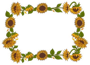 Ayçiçeği çerçevesi beyaz arkaplanda izole edilmiş. Vektör resmi.