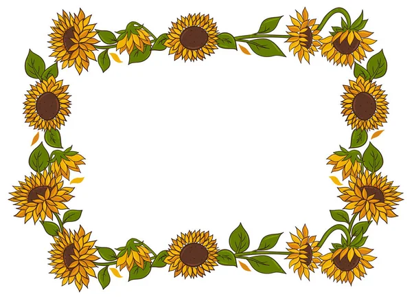 Ayçiçeği çerçevesi beyaz arkaplanda izole edilmiş. Vektör resmi.