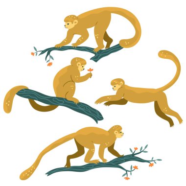 Tropical monkeys on the branches. Set isolated on white background. Vector image.