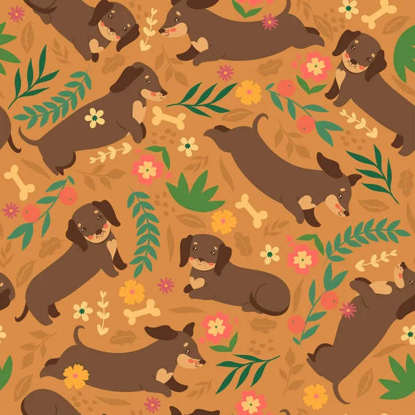 Seamless pattern with dachshunds dogs. Vector image.