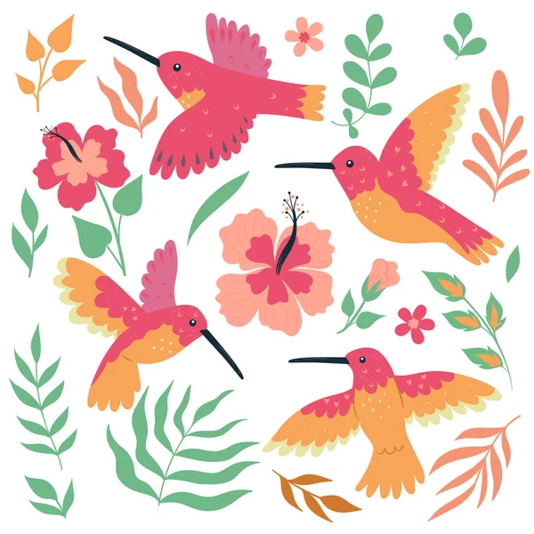 Zestaw Koliber Ptaków Kwiatów Izolowanych Białym Tle Wizerunek Wektora — Wektor stockowy