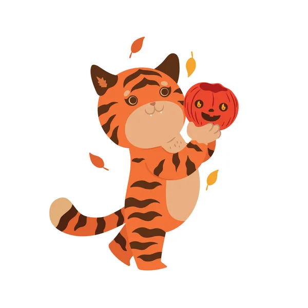 Tigre Tenant Halloween Citrouille Isoler Sur Fond Blanc Image Vectorielle — Image vectorielle