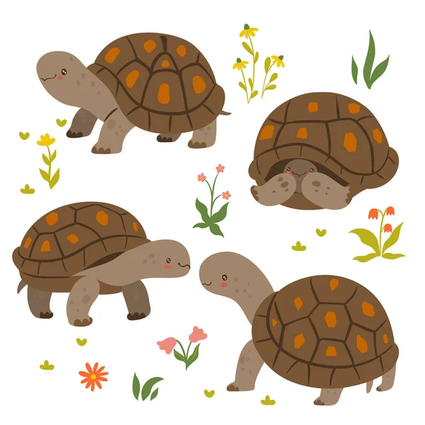 Set Cute Turtles Isolated White Background Vector Image — Stock Vector